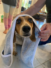 Load image into Gallery viewer, Milo’s Choice Pet Towel With Ear Shaped Pockets
